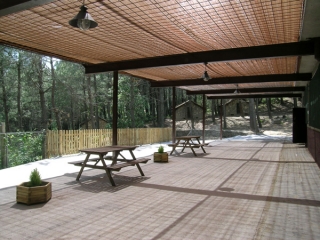  野餐区 